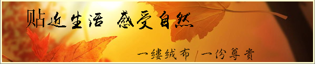 650cc彩票植绒布